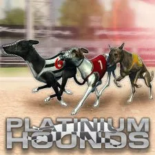 Hounds